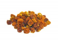 Physalis
